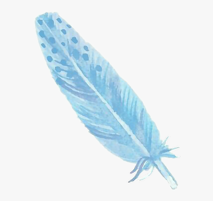 #tumblr #blue #bluesticker #feather #bluefeather #freetoedit - Background Tumblr Bulu Bulu, HD Png Download, Free Download