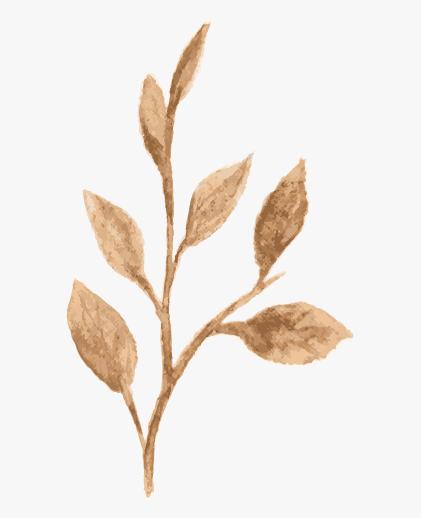 12 - Twig, HD Png Download, Free Download