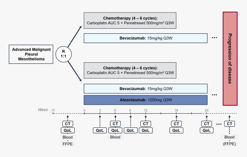 Diagram, HD Png Download, Free Download