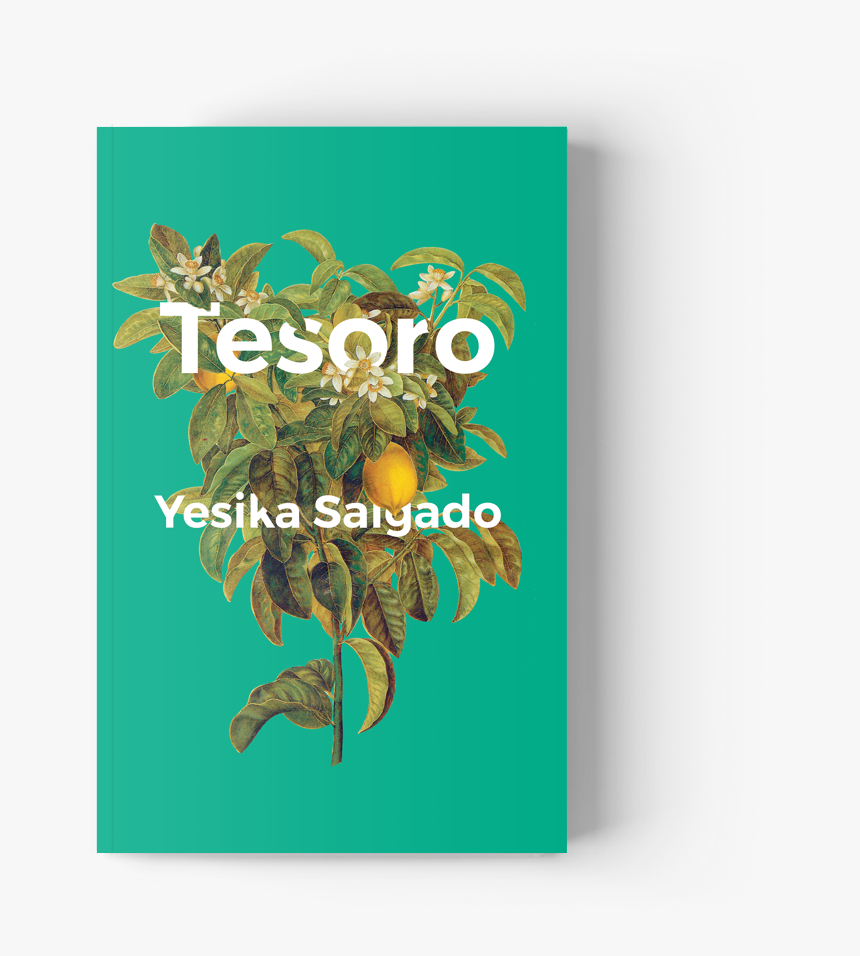 Today I’m Handing The Books Tumblr Reins Over To National - Tesoro Yesika Salgado, HD Png Download, Free Download