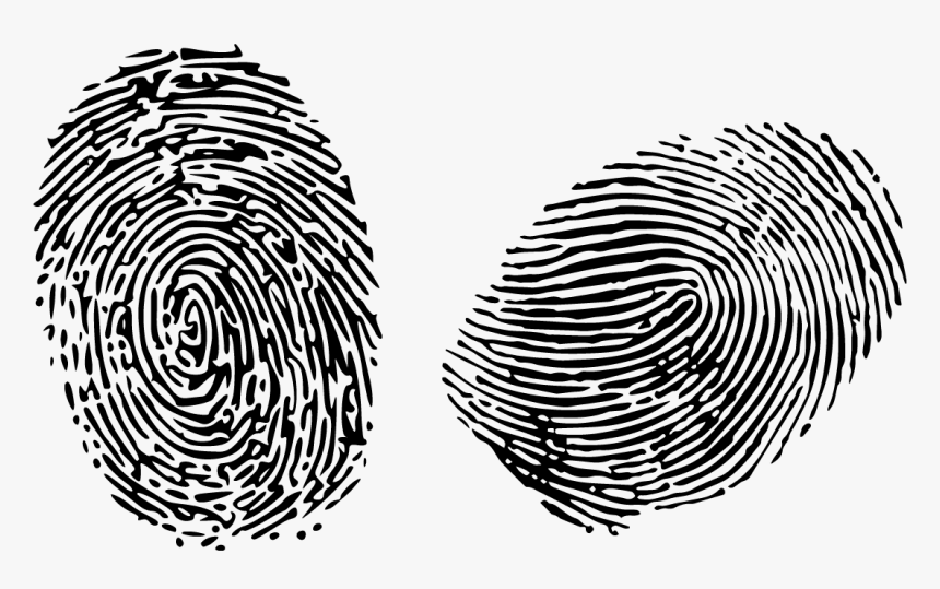 Transparent Background Fingerprint Clipart, HD Png Download, Free Download