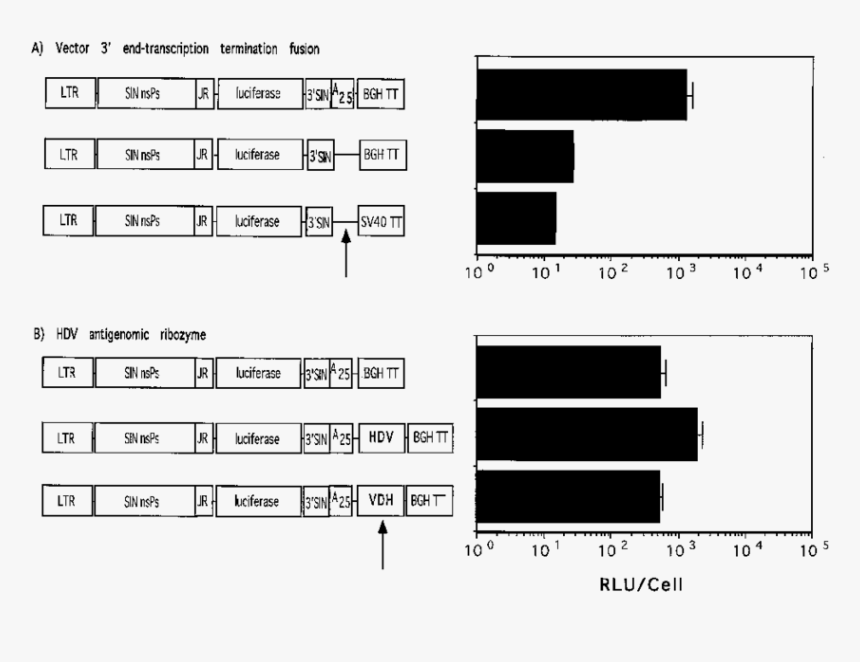 Diagram, HD Png Download, Free Download