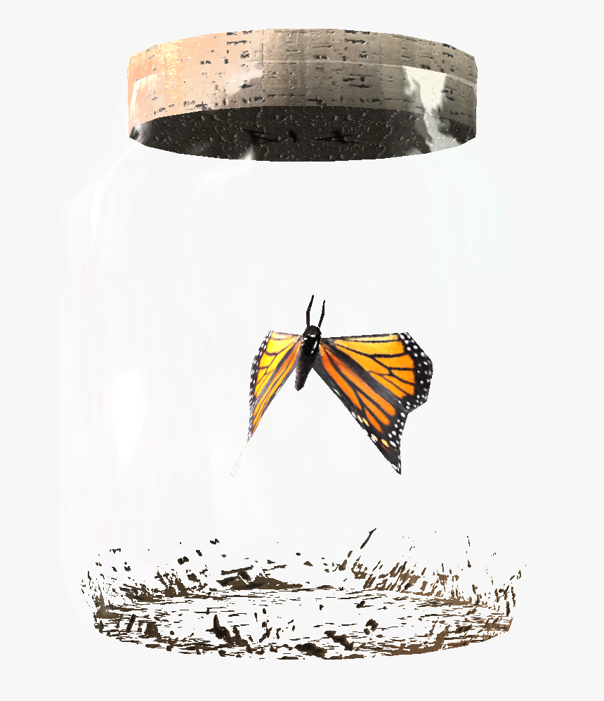 Clip Art Elder Scrolls Fandom Powered - Butterfly In A Jar Skyrim, HD Png Download, Free Download