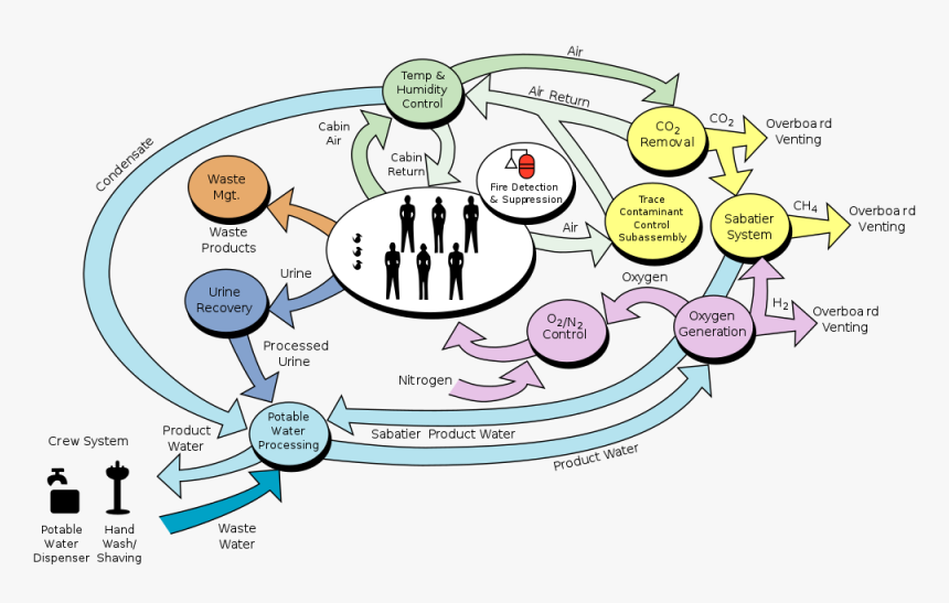 Overview Of The Iss Environment Control System, Which - Components Of Human Life, HD Png Download, Free Download