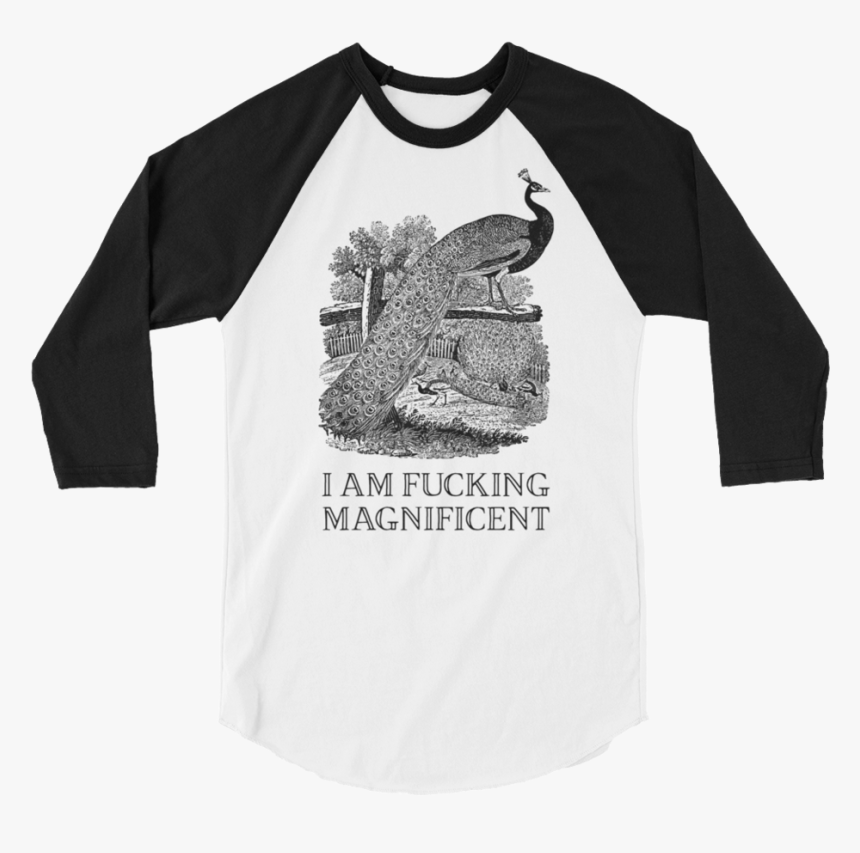 I Am Fucking Magnificent Baseball Tee"
 Srcset="data - Funny Softball Catcher Shirts, HD Png Download, Free Download