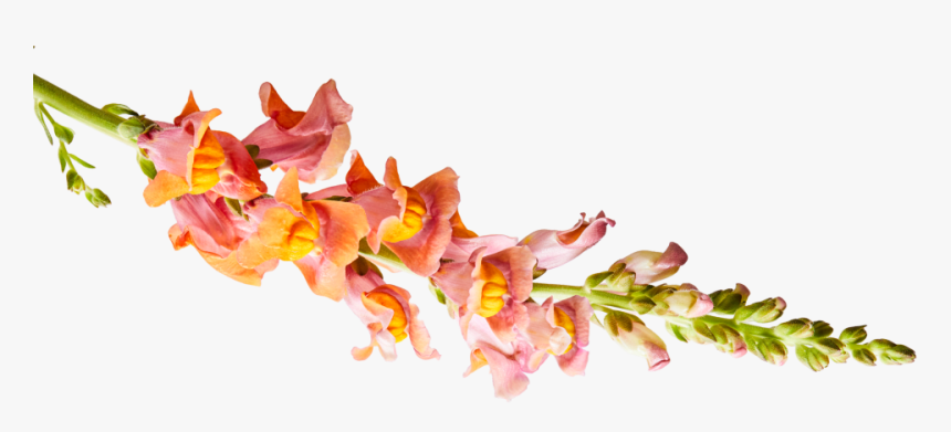 Artificial Flower, HD Png Download, Free Download
