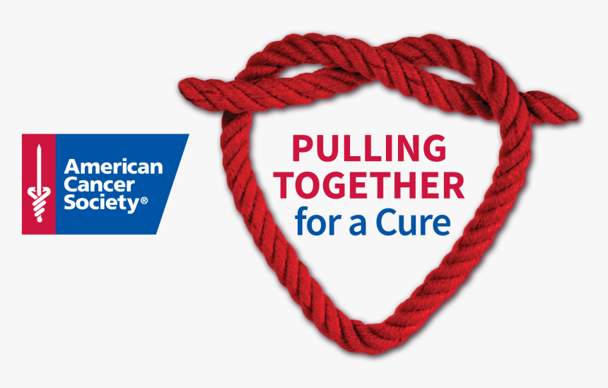 Thumb Image - American Cancer Society, HD Png Download, Free Download