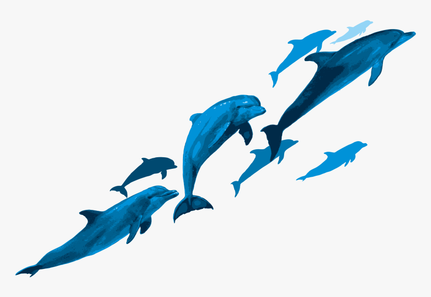 Dolphin Sticker Bottlenose Mug Common Invited Your - Bottlenose Dolphin Png, Transparent Png, Free Download