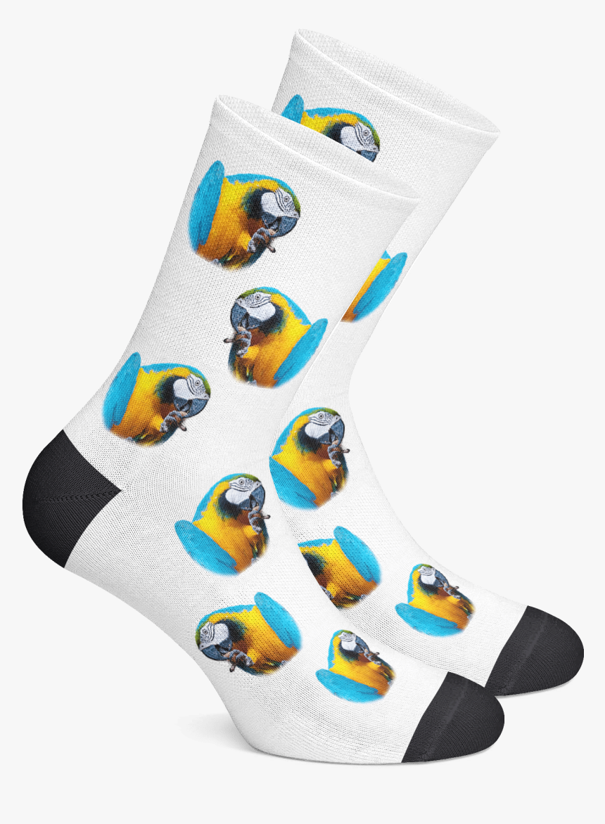 Sock, HD Png Download, Free Download