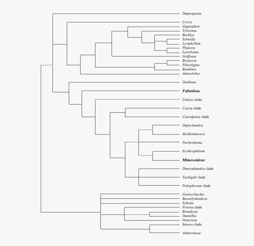 Diagram, HD Png Download, Free Download