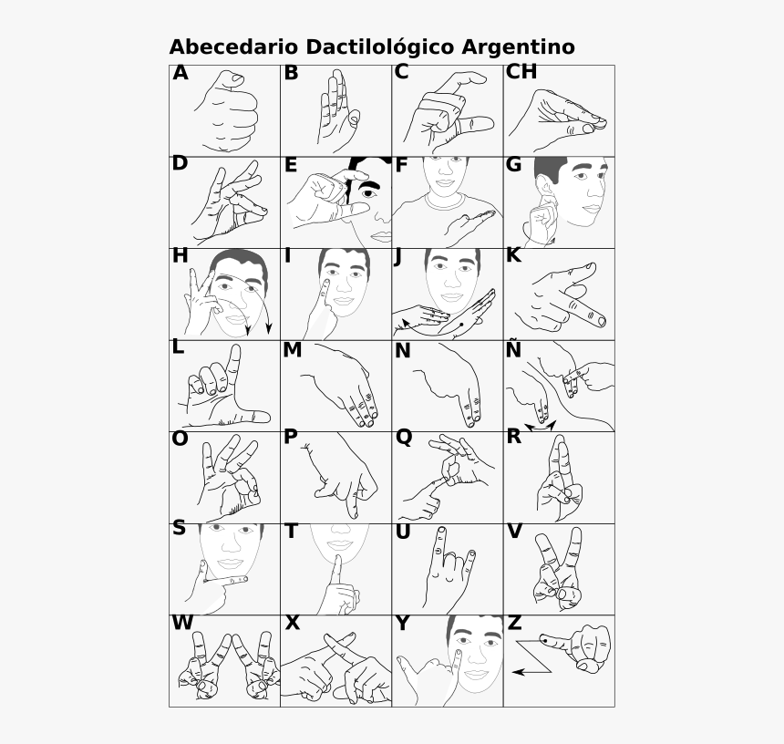 Alfabeto Dactilologico Argentino - Abecedario Dactilológico Argentino, HD Png Download, Free Download