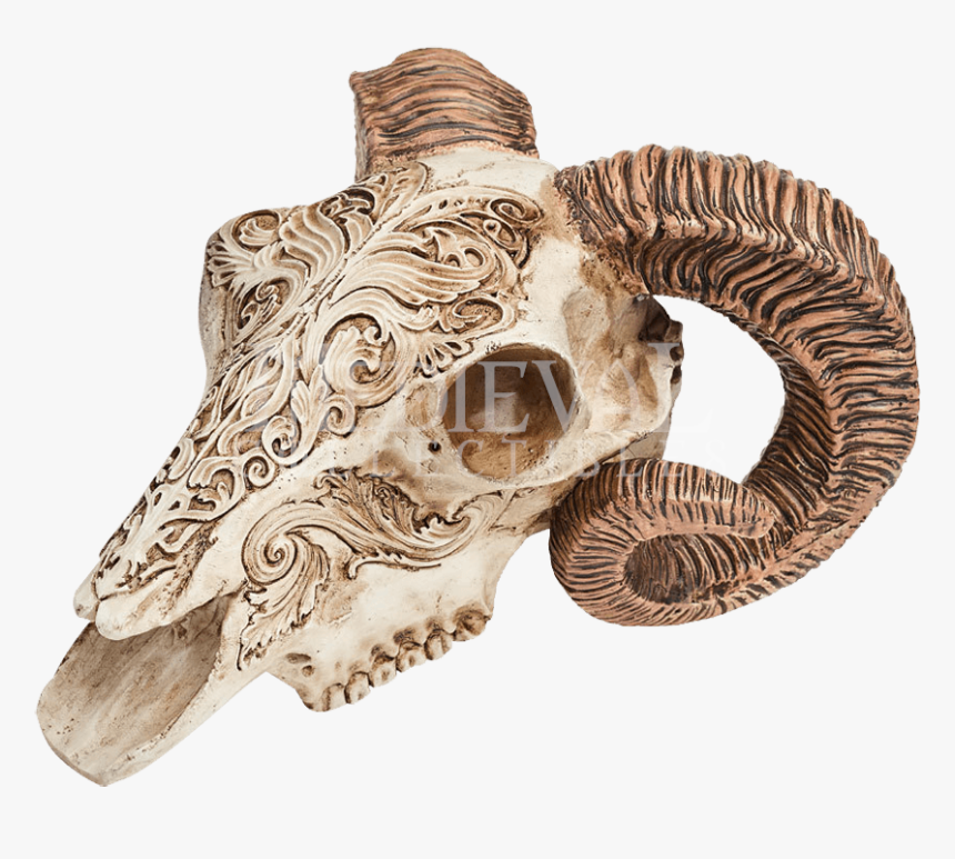 Ram Skull , Png Download - Ram Skull, Transparent Png, Free Download