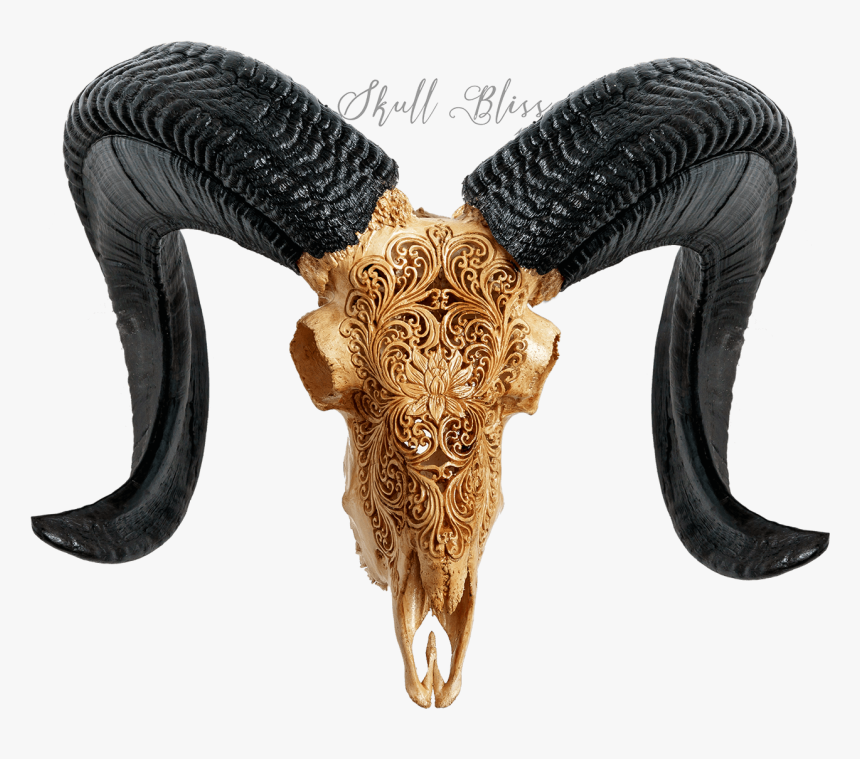 Horn, HD Png Download, Free Download