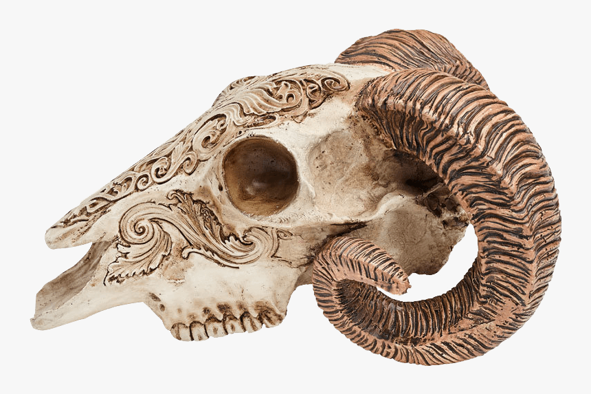 Scrimshaw Ram Skull - Alchemy Gothic Scrimshaw Ram Skull, HD Png Download, Free Download