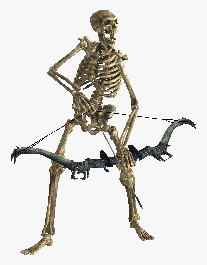 Skeleton - Skyrim Skeleton, HD Png Download, Free Download