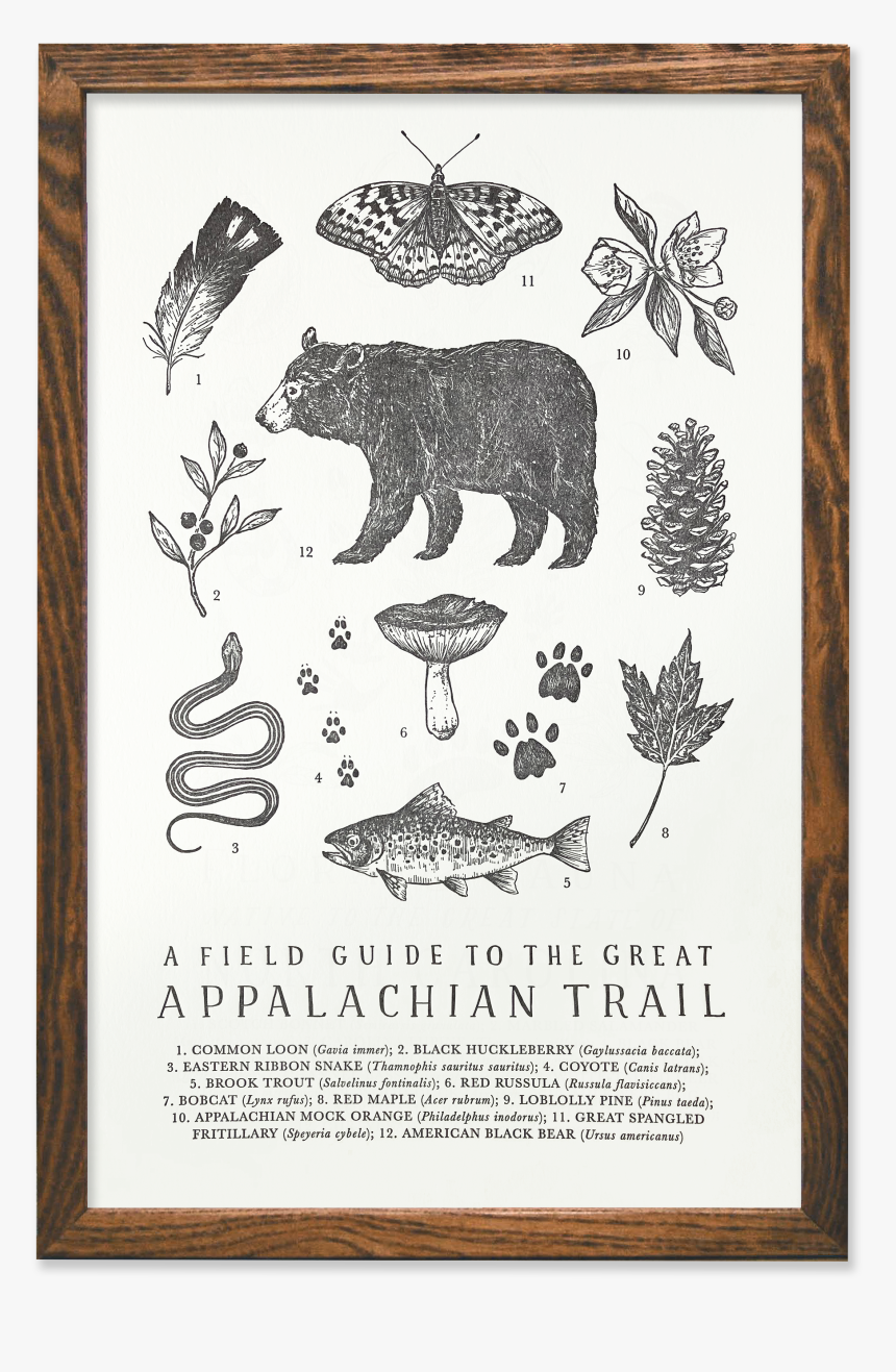 Appalachian Trail Conservancy, HD Png Download, Free Download
