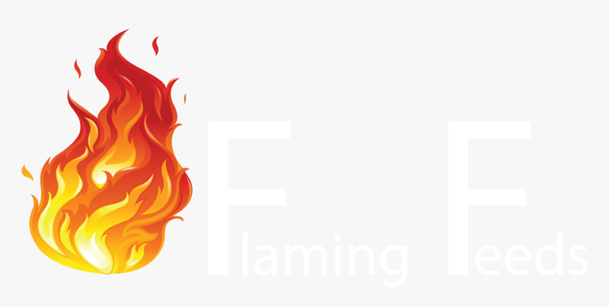 Transparent Fire Vector Png, Png Download, Free Download