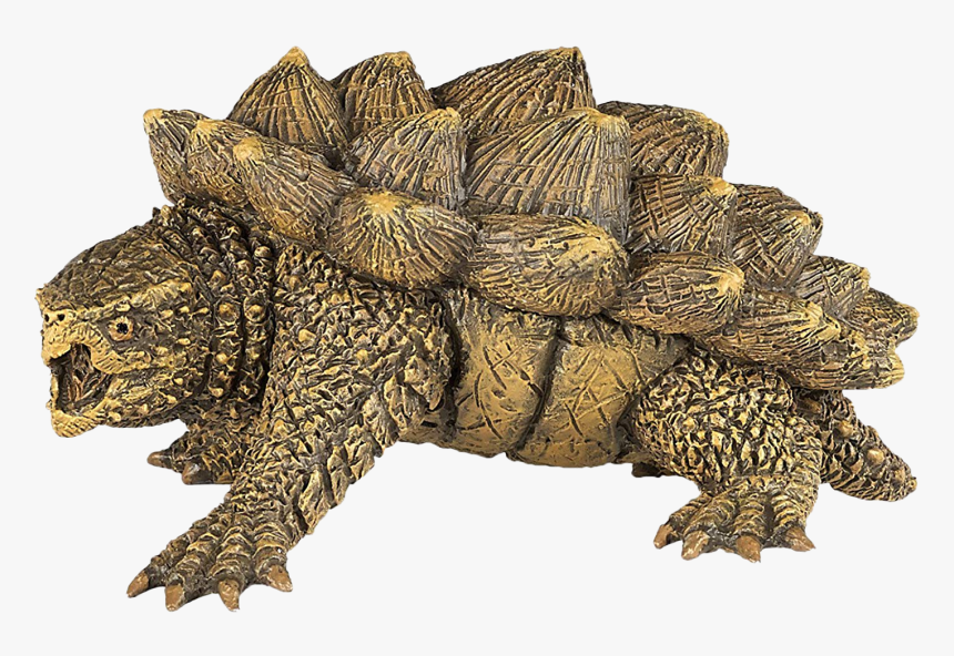 Alligator Snapping Turtle, HD Png Download, Free Download