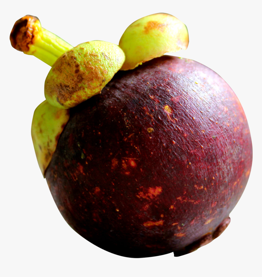 Mangosteen Transparent, HD Png Download, Free Download