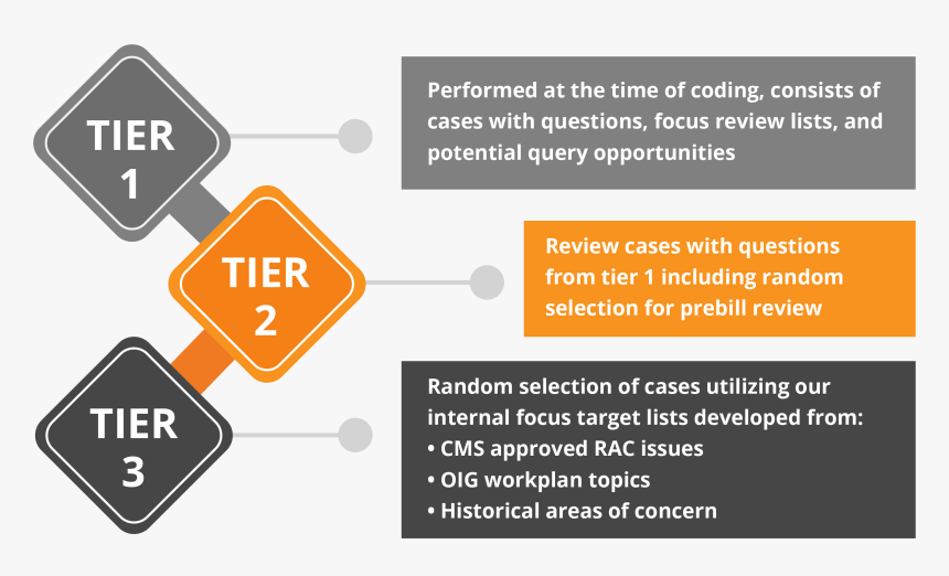 Tier Process, HD Png Download, Free Download