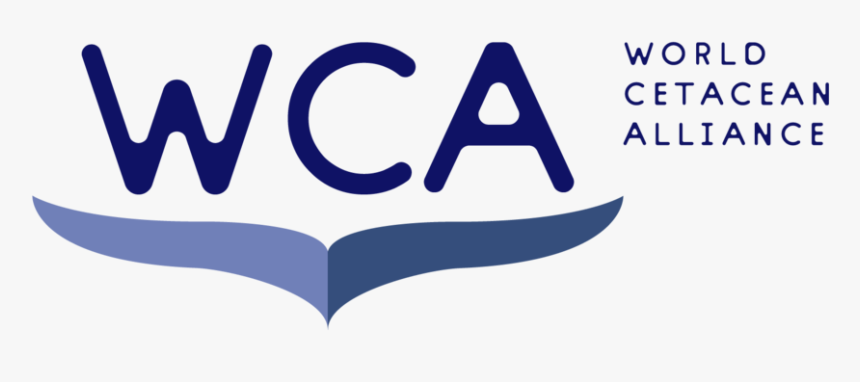 Wca Logo, HD Png Download, Free Download