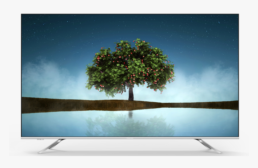 Hisense Uhd 4k Tv A7010 - Tree, HD Png Download, Free Download