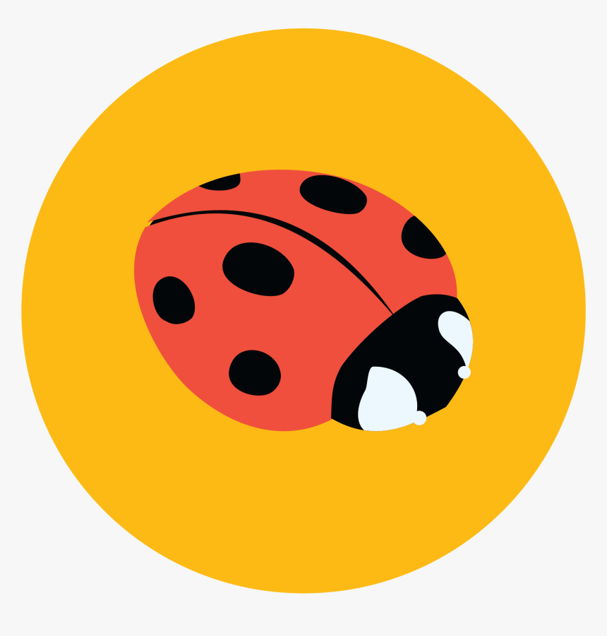 Ladybug, HD Png Download, Free Download