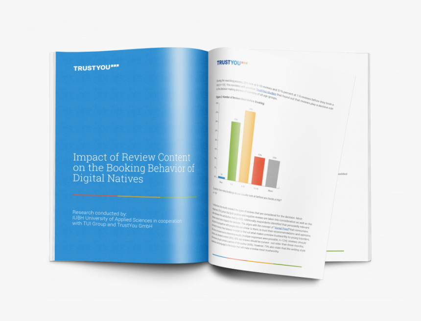 2019 White Paper Impact Review Content Digital Natives - Brochure, HD Png Download, Free Download