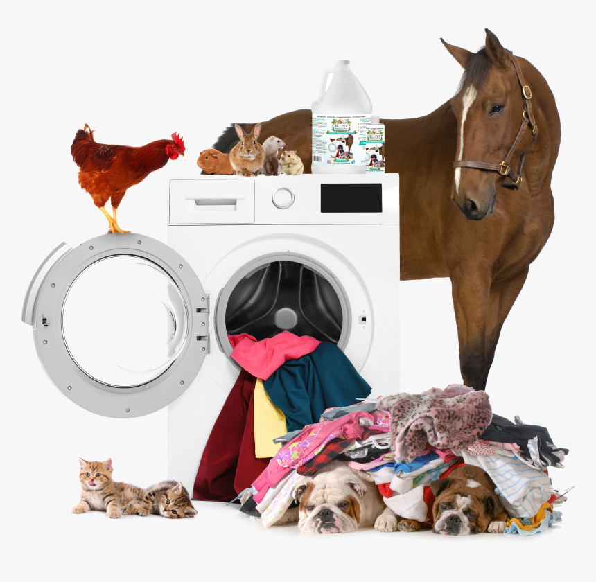 Bedding Wash Pets On Washer - Dog Pile Of Clothes, HD Png Download, Free Download