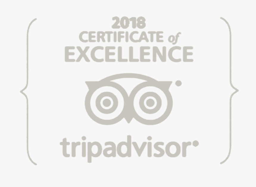 Tripadvisor, HD Png Download, Free Download