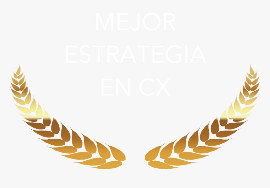 Mejor Estrategia En Cx - Plantilla Premios Oscar Png, Transparent Png, Free Download
