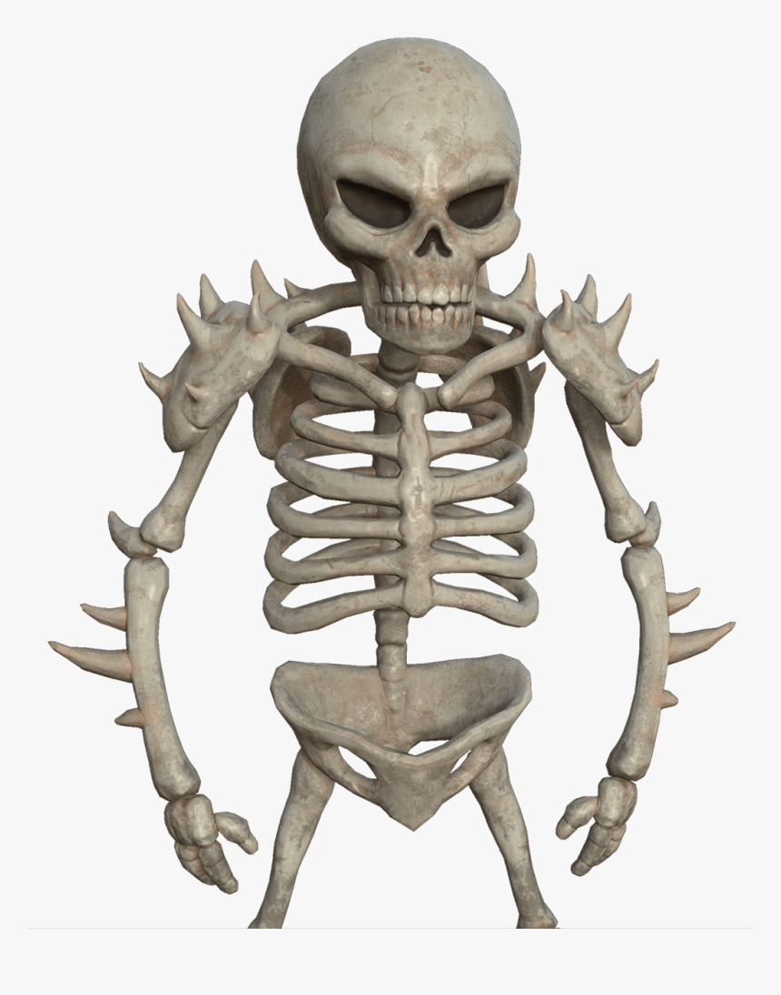 Skeleton, HD Png Download, Free Download