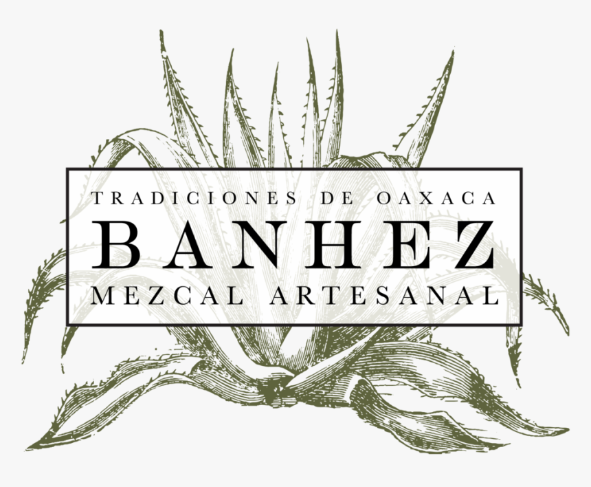 Banhezlogo B Transparent - Illustration, HD Png Download, Free Download