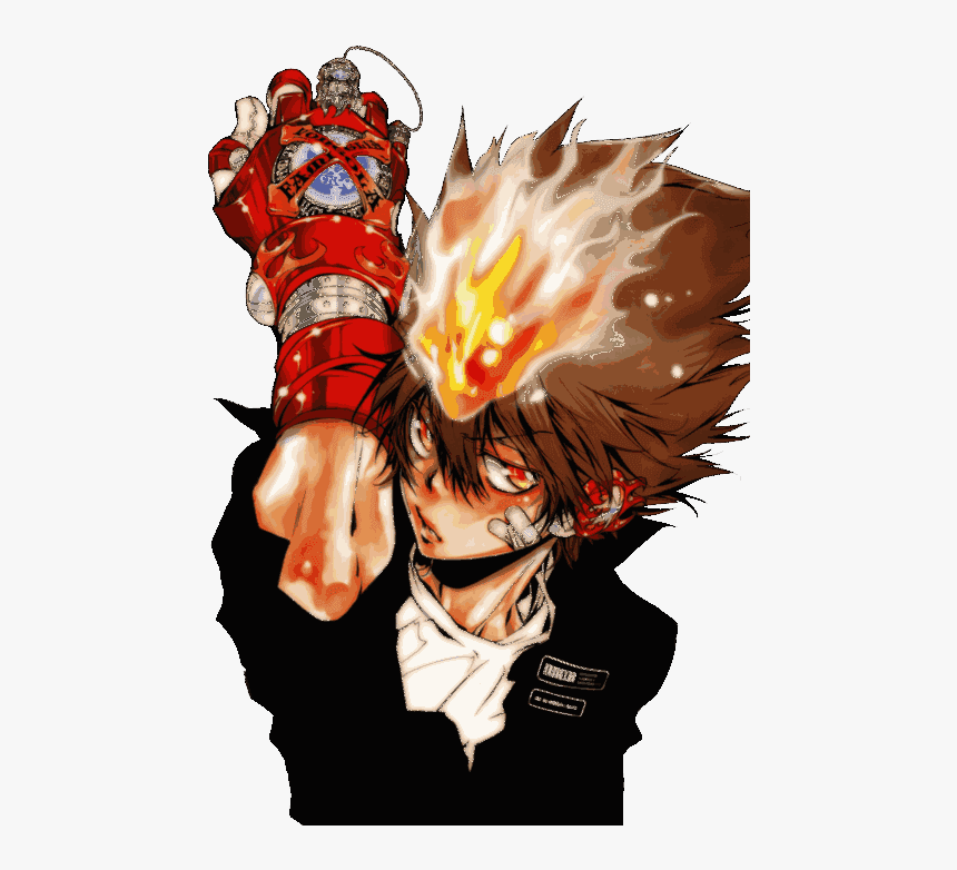 Tsunayoshi Sawada Vongola Gear, HD Png Download, Free Download