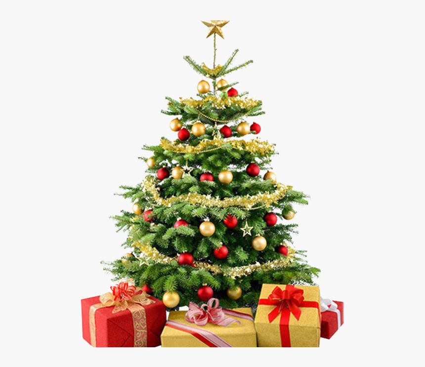 Christmas Tree No Background, HD Png Download, Free Download