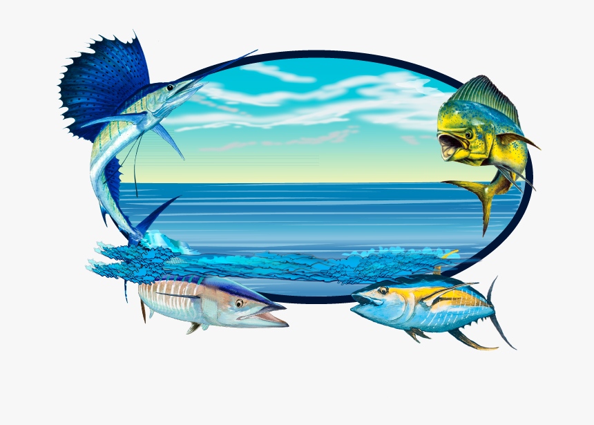 Sailfish Clipart Wahoo , Png Download, Transparent Png, Free Download