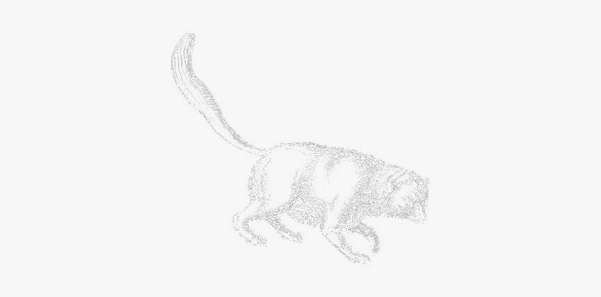 Sketch, HD Png Download, Free Download