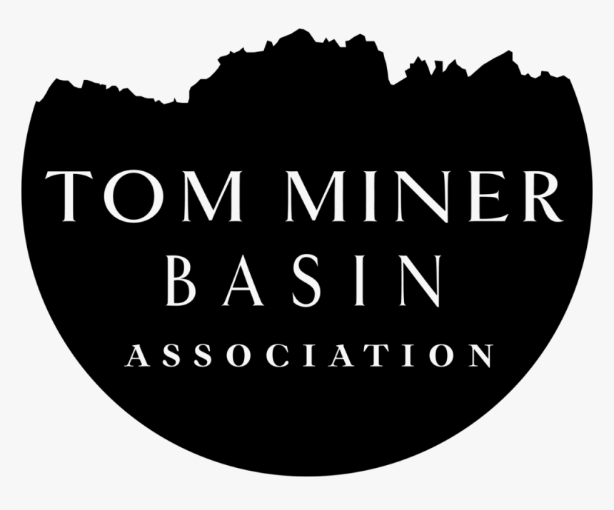 Tom Minor Basin Logo - Graphic Design, HD Png Download, Free Download