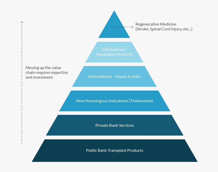 Philips Model Of Training Evaluation, HD Png Download, Free Download