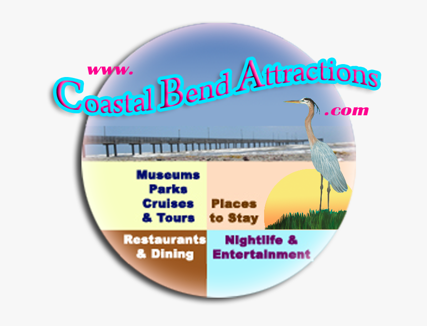 Texas Coastal Bend Attractions - Ciconiiformes, HD Png Download, Free Download