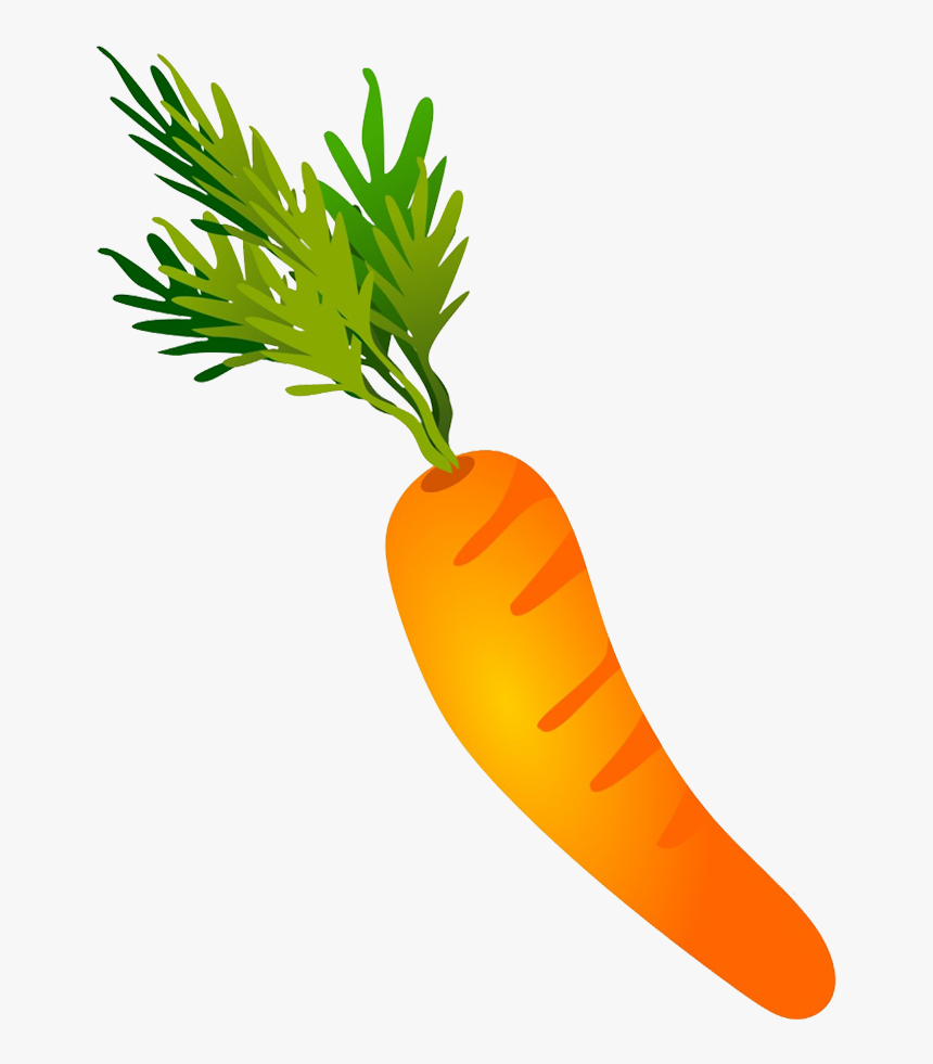 Drawing carrot How to