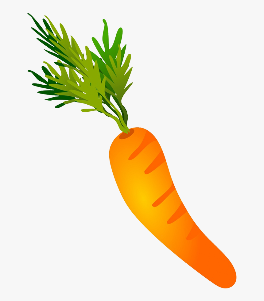 Carrot drawing