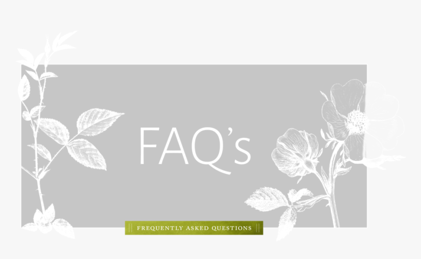 Faqs, HD Png Download, Free Download