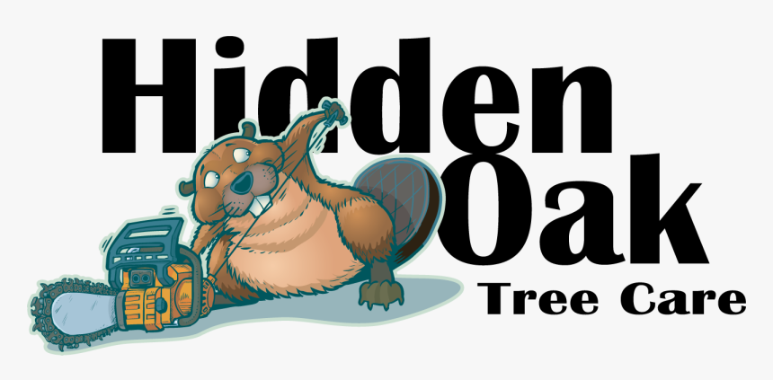 Hidden Oak Logo Only Black Text - Cartoon, HD Png Download, Free Download