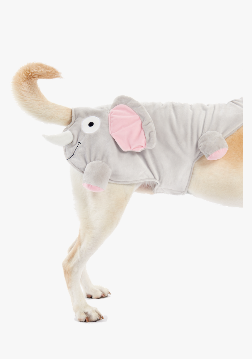 Elephant Dog Costume, HD Png Download, Free Download