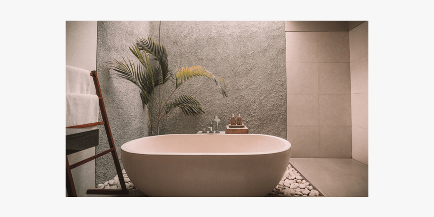Plants For The Bathroom - Creative Unique Interior Decoration, HD Png Download, Free Download