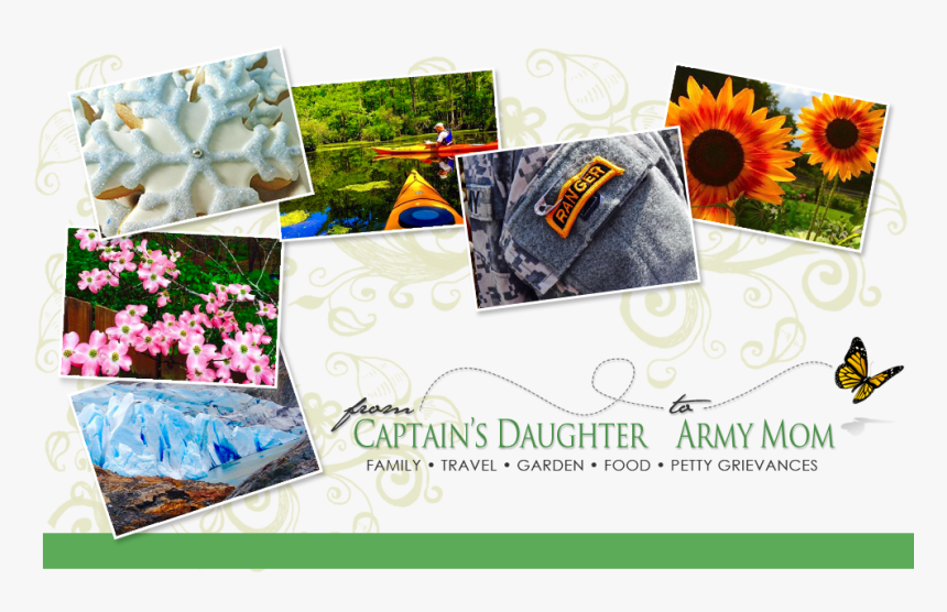 From Captain"s Daughter To Army Mom - Sunflower, HD Png Download, Free Download