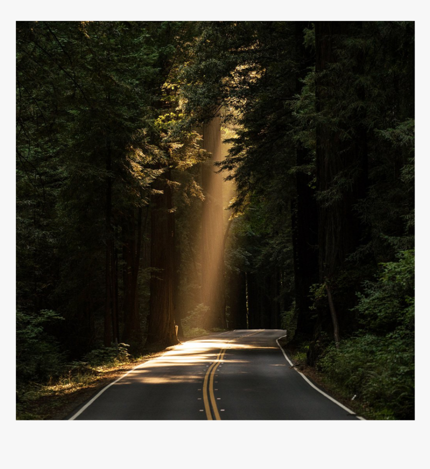 #bosque - God's Will, HD Png Download, Free Download
