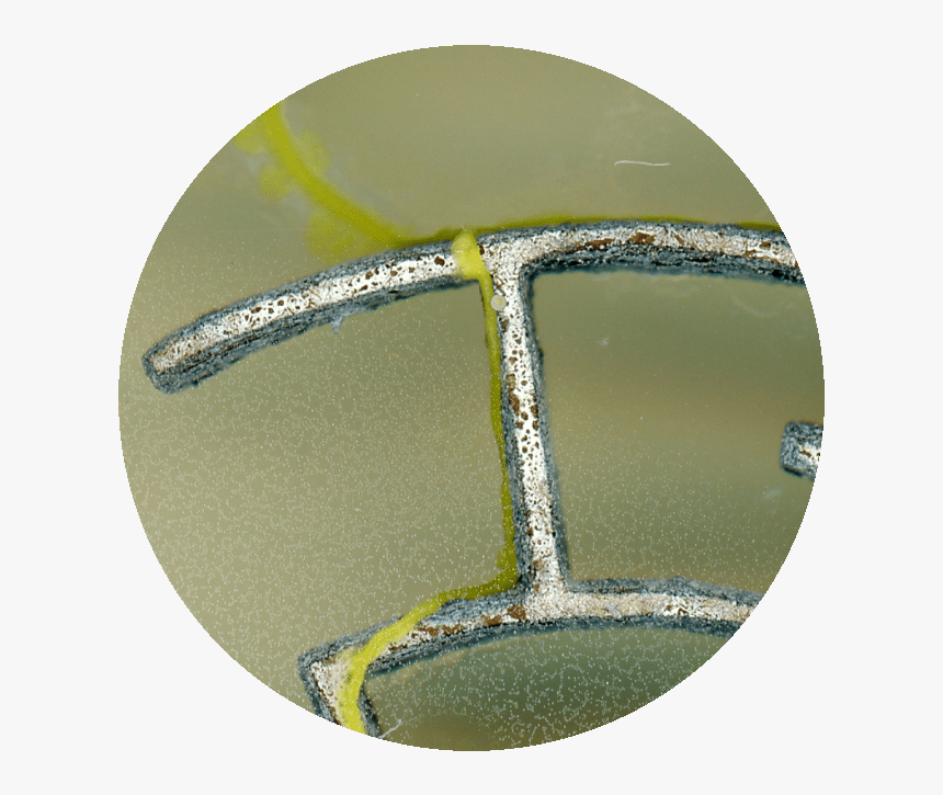 Circle, HD Png Download, Free Download