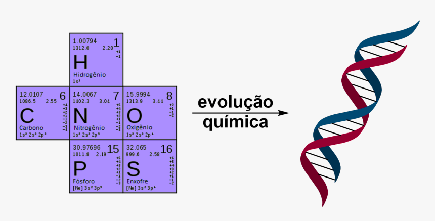 Teoria Da Evolução Quimica, HD Png Download, Free Download